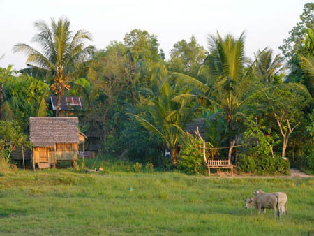 Myaungmya Guest house¼þÊդΤΤɤ«¤ÊÉ÷·Ê