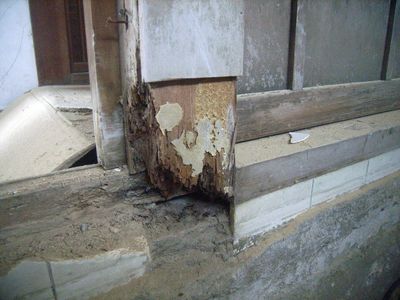 柱がシロアリにやられてます
