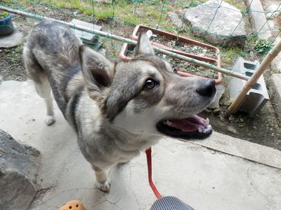 ハルの笑顔が一番^^
