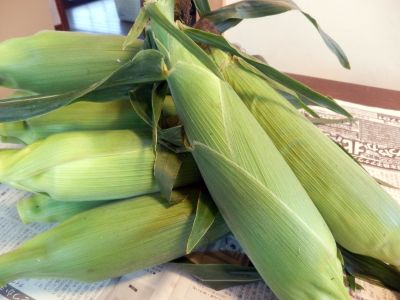 和歌山産とうもろこし