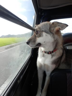 景色に見とれてます!?