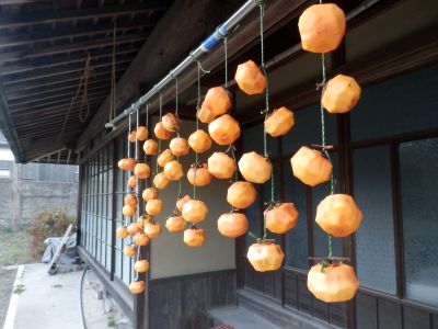 干し柿できるかな〜!