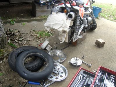 チューブが出るまでバラシましたが