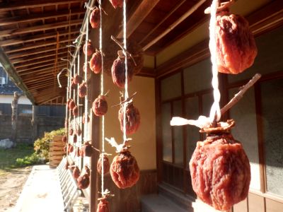干し柿その後
