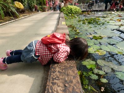 水辺の世界