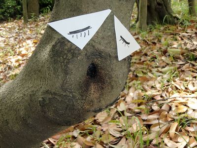 悩ましげな木