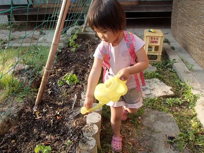 たっぷり水遣り