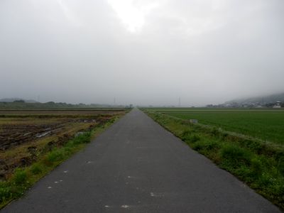 進むべき道?