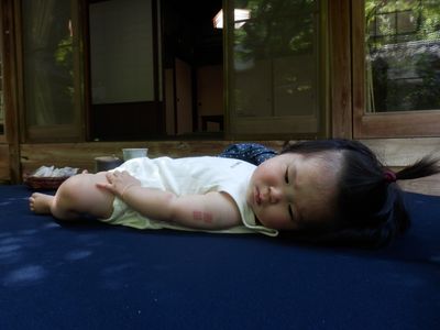 どこでも転がされる