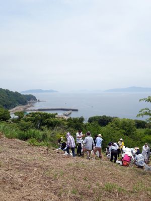水仙を植えます
