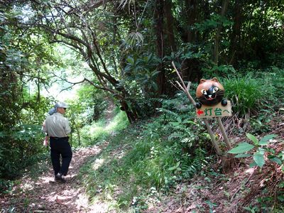 灯台への山道