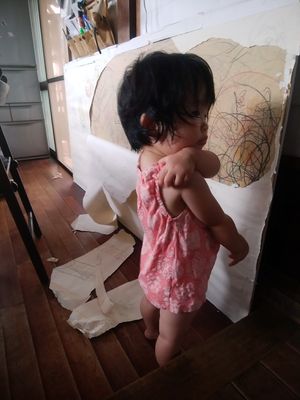 ハカイダー
