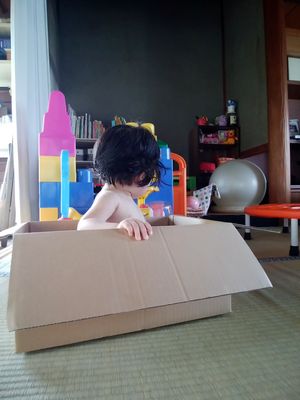 段ボール風呂