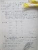 クワガタ採集 びっくりりえたん