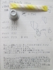 クワガタ採集 びっくりりえたん