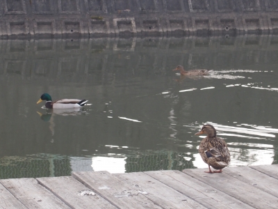 2012年03月の記事 瀬田ロー マスターズ 練習の日々