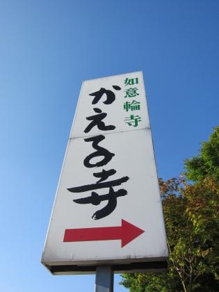 IMG_1384.JPG