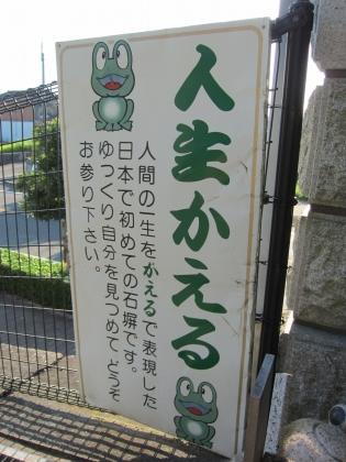 IMG_1385.JPG