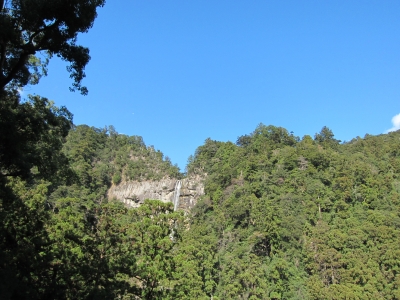 IMG_4916.JPG
