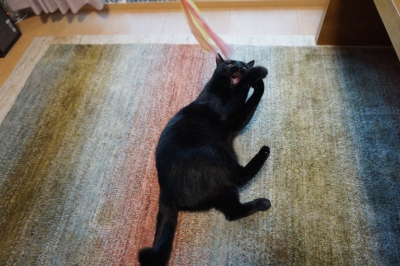 DSC08208 - コピー.JPG