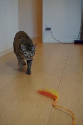 DSC08222 - コピー.JPG