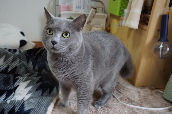 DSC09418 - コピー.JPG