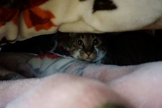 DSC09422 - コピー.JPG