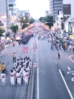 大通り