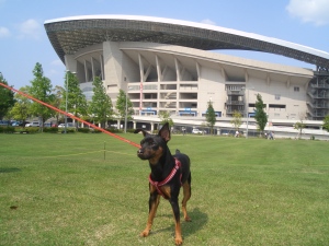 波乱のさいたまスタジアム２