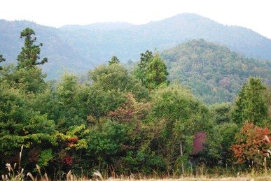 比良山系