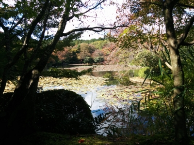 RYOANJI
