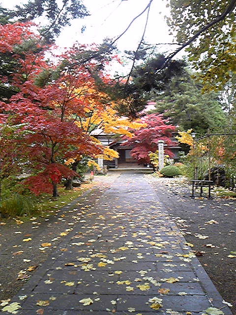 DVC00751.jpg