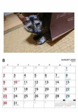 ちび太8月