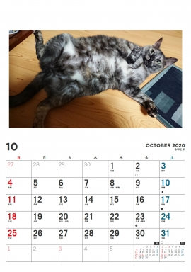 ちび太10月