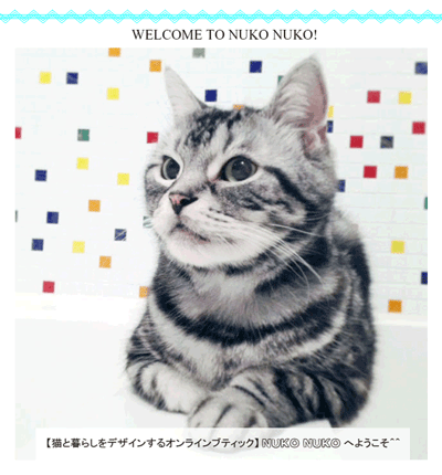 【猫と暮らしをデザインするオンラインブティック】NUKO NUKO(ぬこぬこ)の挨拶アニメーション