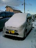 100207_0727~0001-0001-0001.jpg