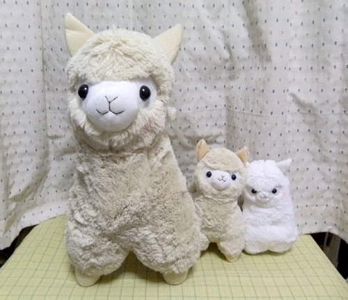 アルパカッソ集合写真