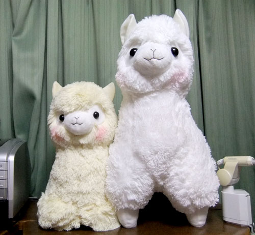 ぬいぐるみとティッシュカバー