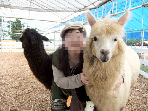筆男君と