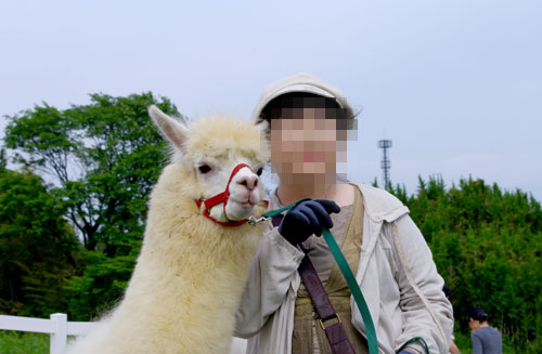 サヤカお散歩・草エリア