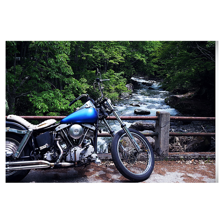 VISE/REDTAIL × TRADITIONAL STANDARD Biker Wallet!! | Mr
