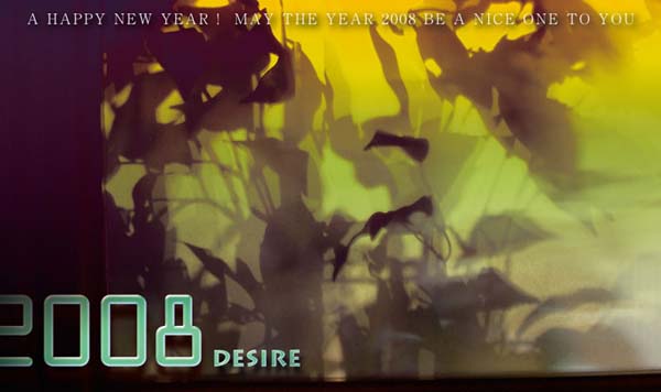 2008 new year