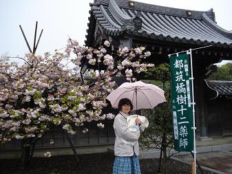 自性院