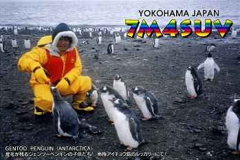 ペンギン 1997