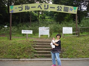 ブルーベリー公園
