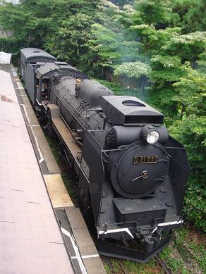 D51-561