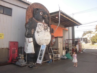 タヌキ、大型引き取り限定福岡 JSPGiDoJ_200x200.jpg