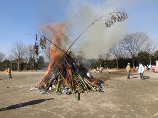 2015-01-11-d-1.jpg