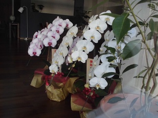 2015-01-12-b-6.jpg