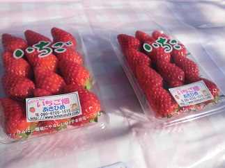 いちごです！ いちご様 いちご様 1本 いちご様 いちご① いちごページ 椿 Buy ZX 8000